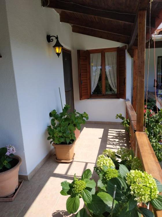 Ivonnis Garden Villa Mesimvria  Bagian luar foto
