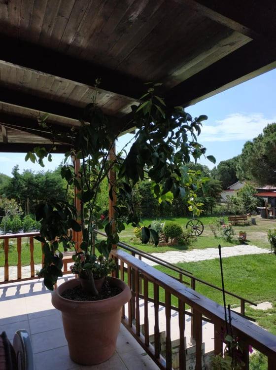 Ivonnis Garden Villa Mesimvria  Bagian luar foto