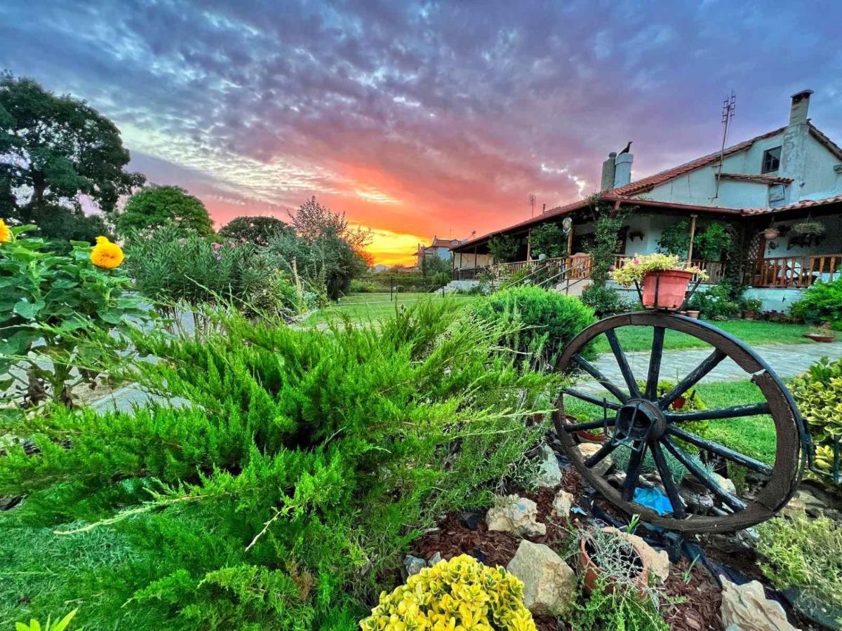 Ivonnis Garden Villa Mesimvria  Bagian luar foto