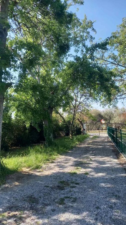 Ivonnis Garden Villa Mesimvria  Bagian luar foto