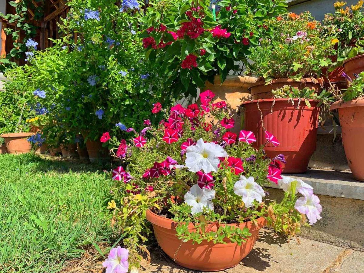 Ivonnis Garden Villa Mesimvria  Bagian luar foto