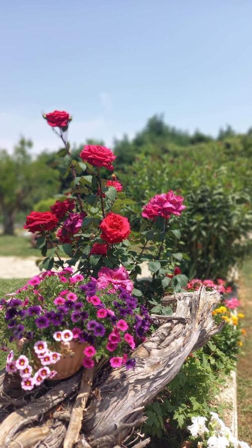 Ivonnis Garden Villa Mesimvria  Bagian luar foto