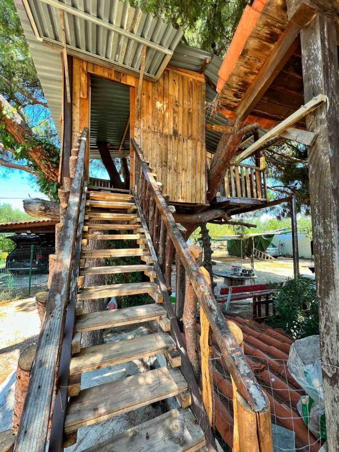 Ivonnis Garden Villa Mesimvria  Bagian luar foto