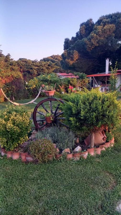 Ivonnis Garden Villa Mesimvria  Bagian luar foto